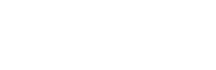 Luxury Portfolio International