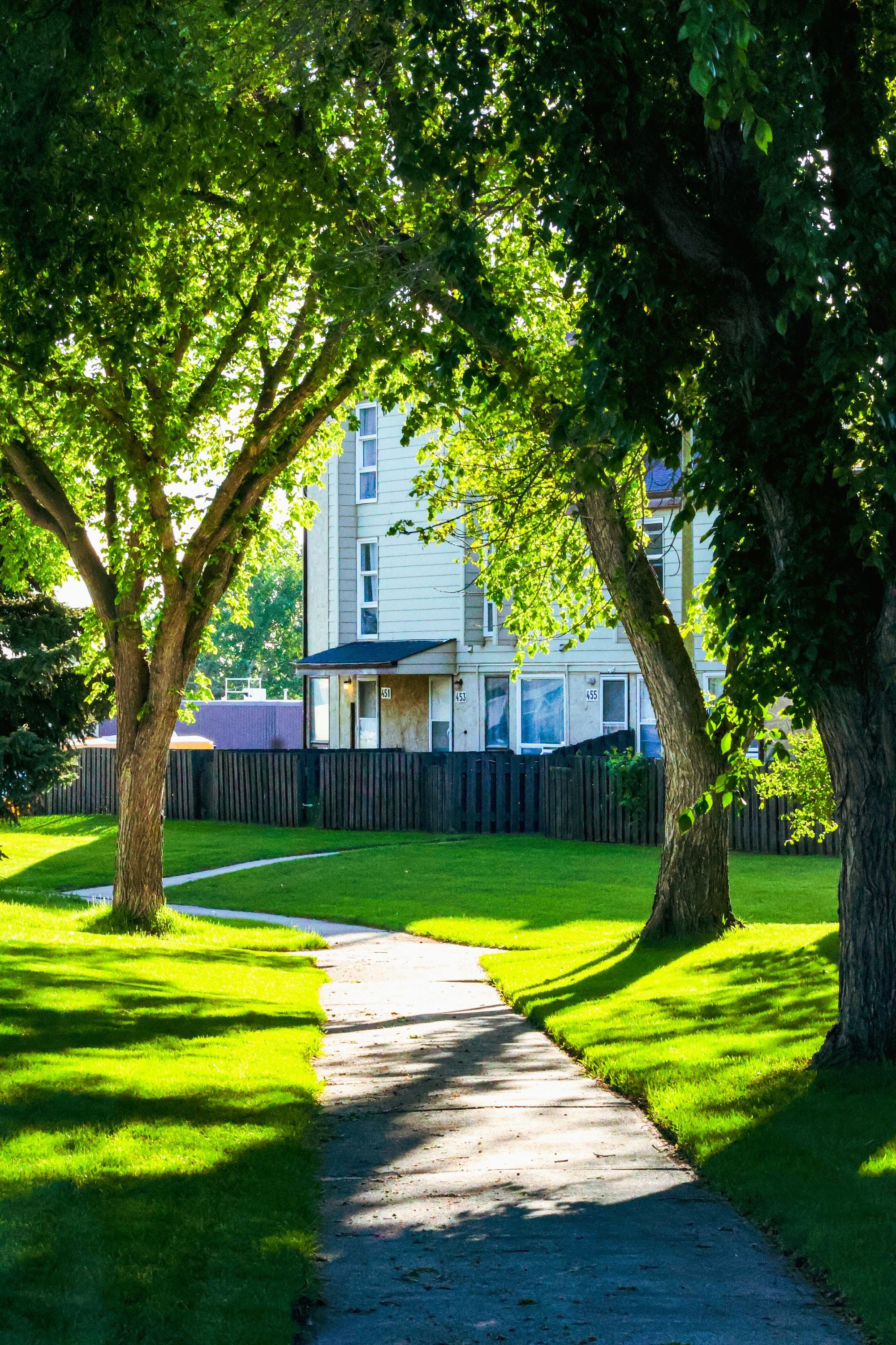 A quiet suburban pathway lined with green trees
