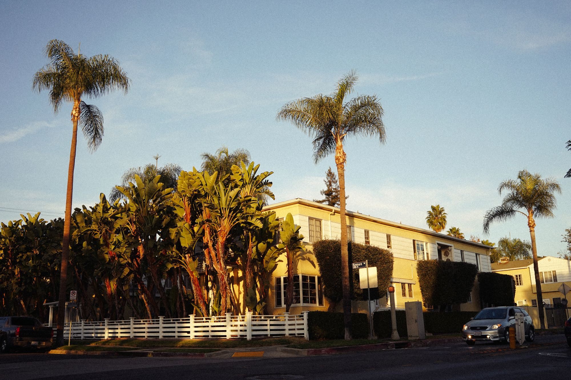 A mid century building framed by tall palm trees in warm sunlight
