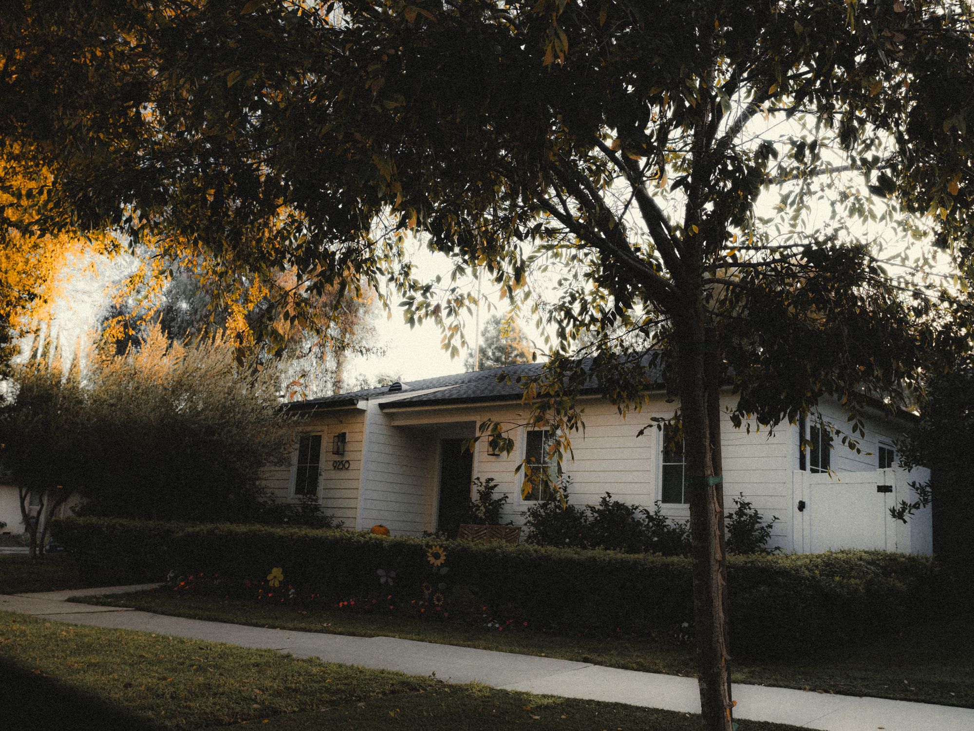 A suburban home surrounded by mature greenery