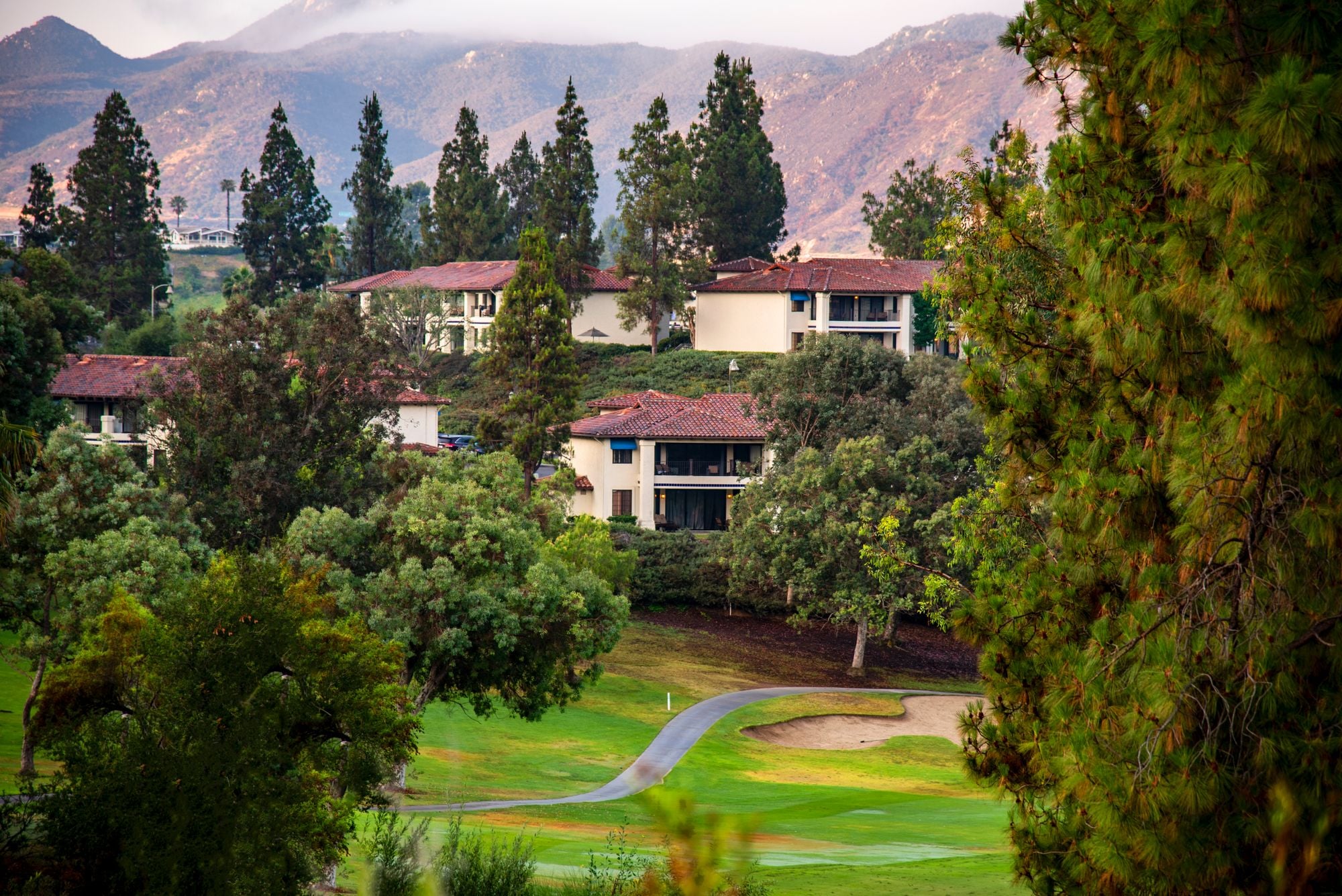 Homes surrounded by greenery with hills rising behind them