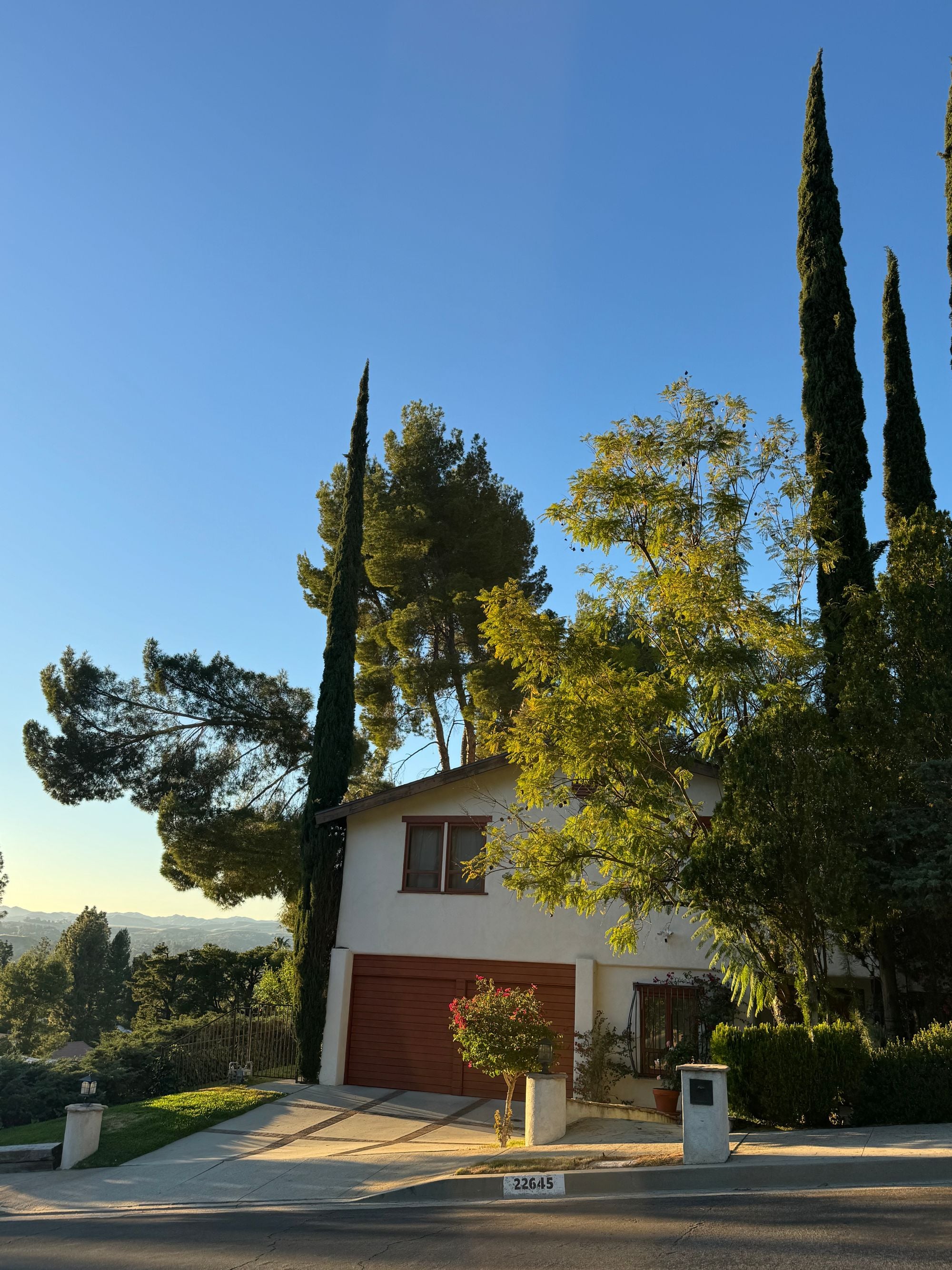 A suburban house surrounded by trees in warm daylight