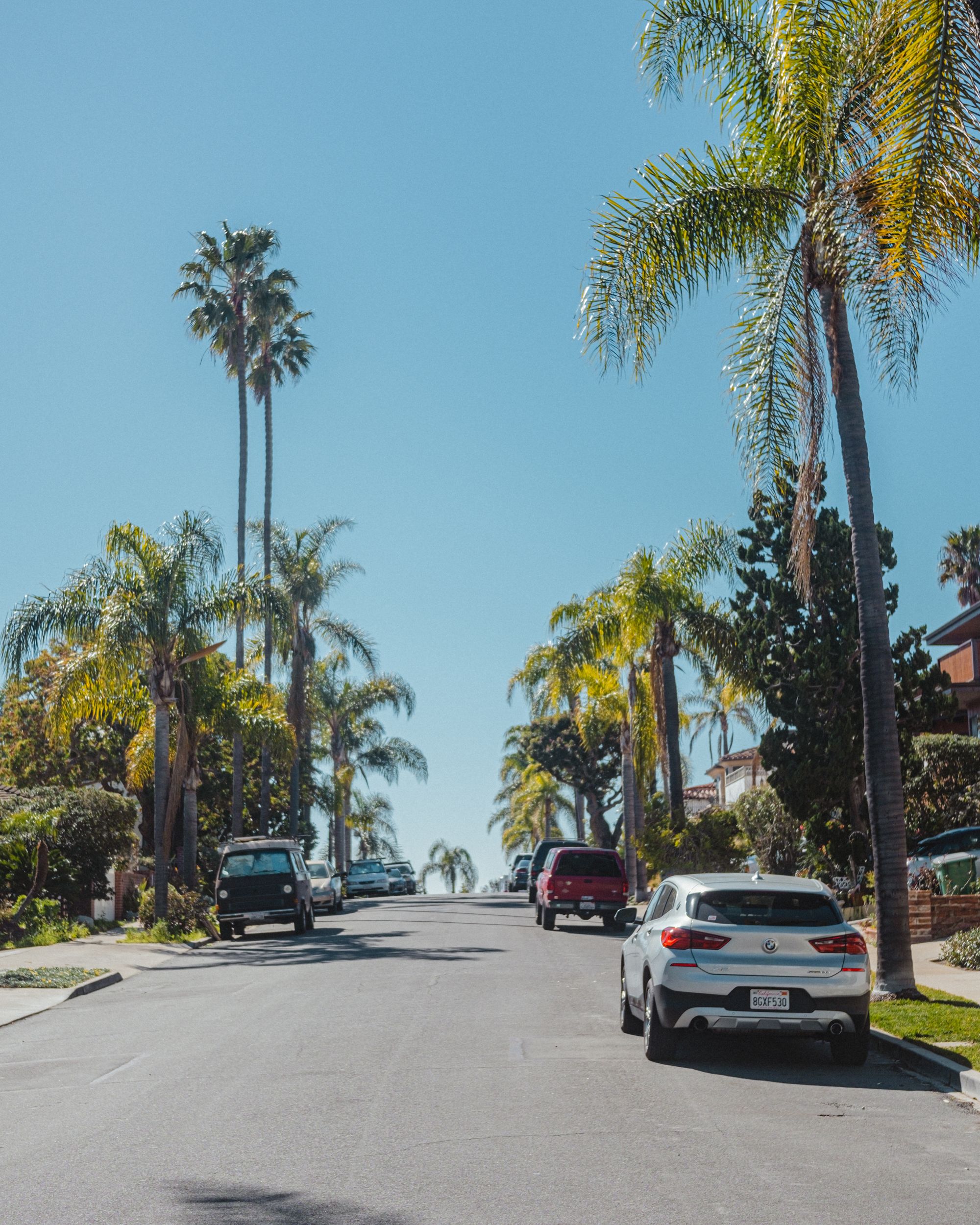 A sunny village street lined with palm trees and parked cars