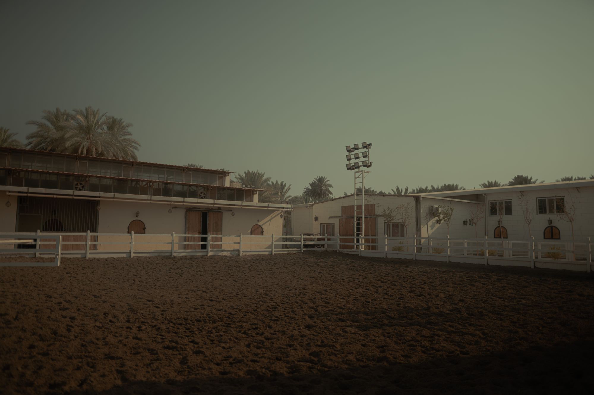 A horse stable and fenced arena framed by palm trees at sunset