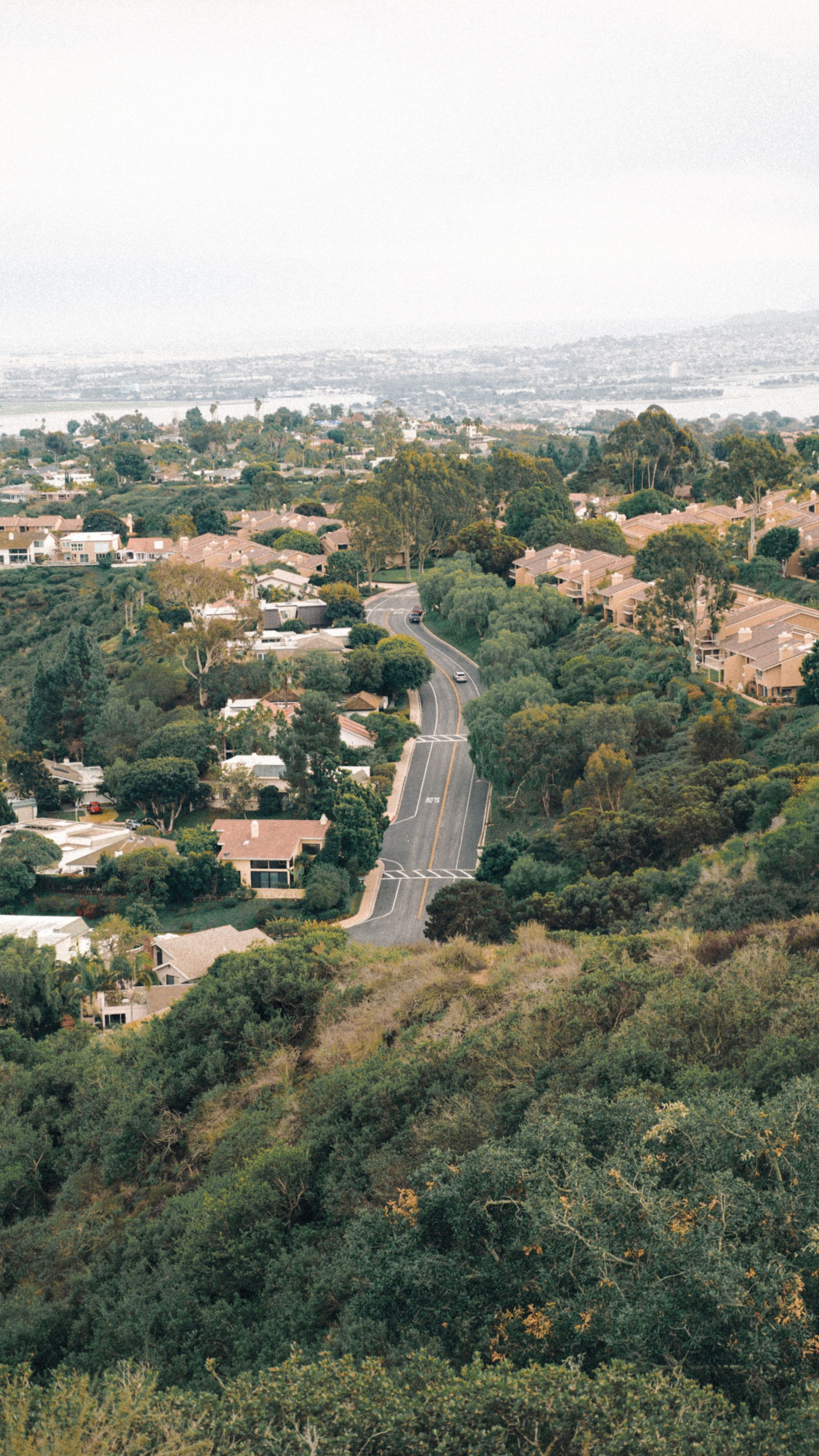 Aerial view of a winding road through greenery and hillside homes