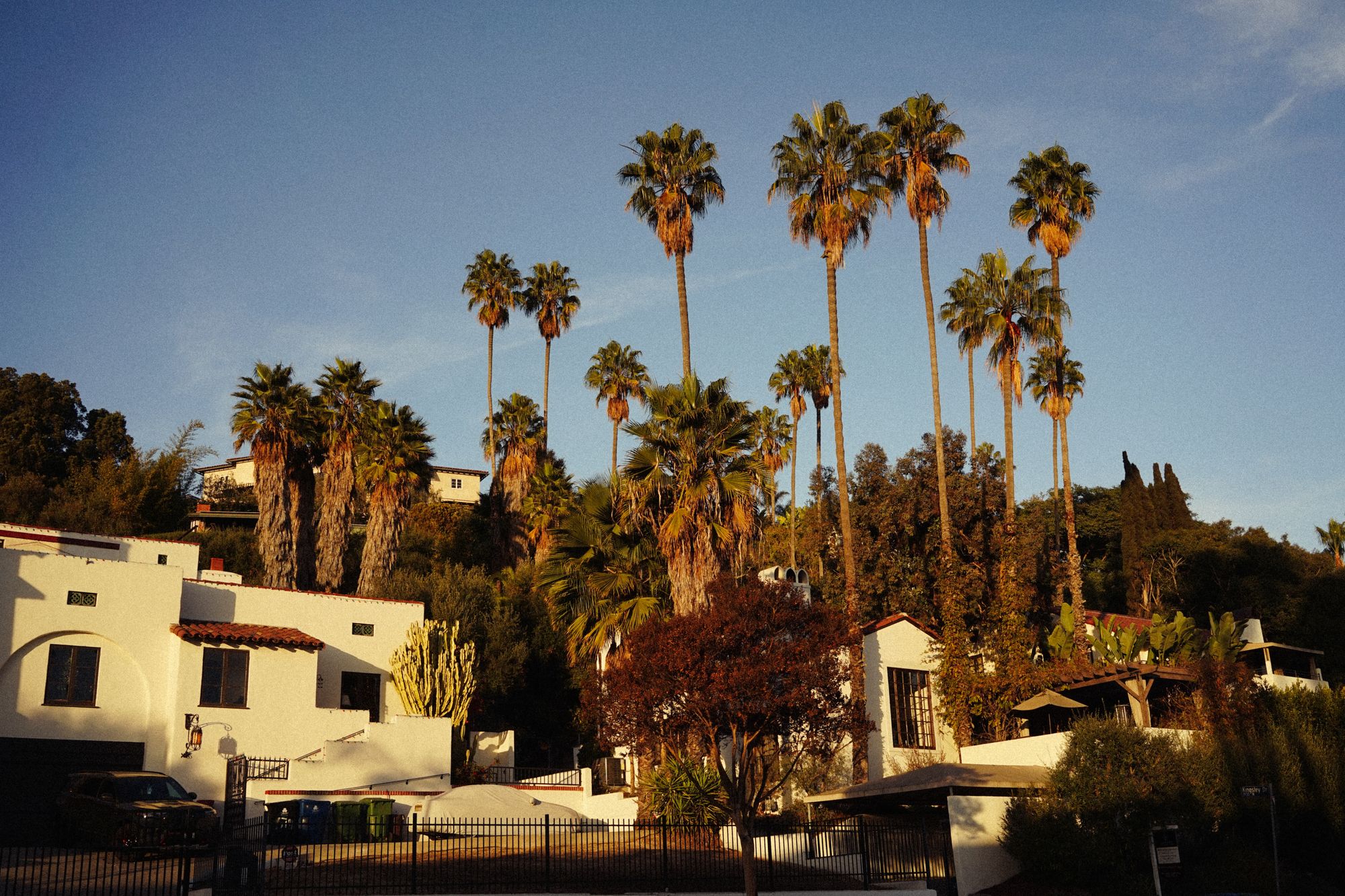 Spanish style homes framed by tall palm trees in late afternoon light