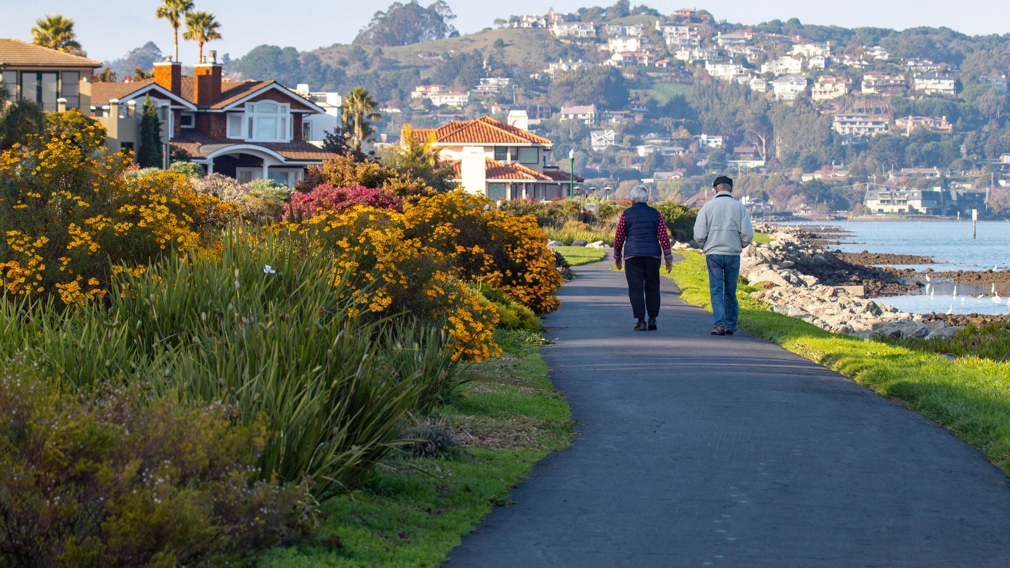 A couple walking a waterfront path lined with flowers and greenery