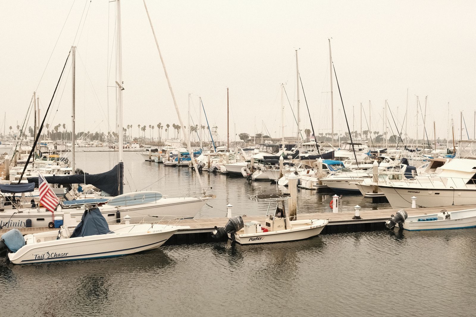 Sailboats and motor yachts moored side by side at a marina dock on a clear day.