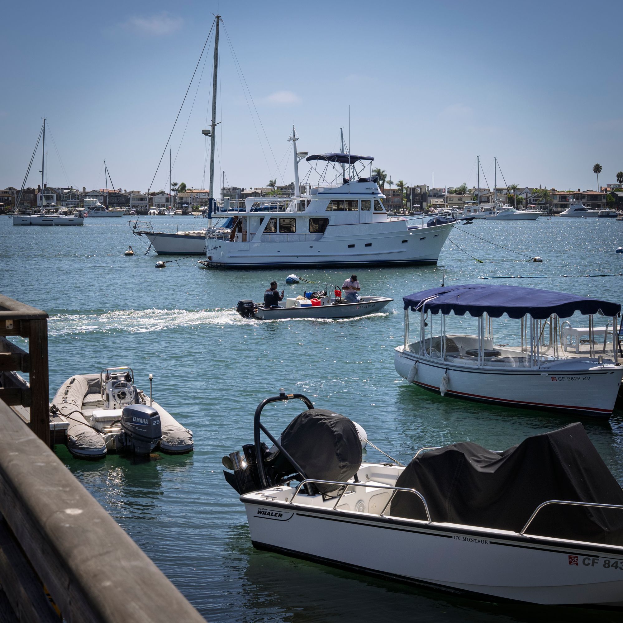 Boats and yachts moored along a Southern California harbor on a clear day
