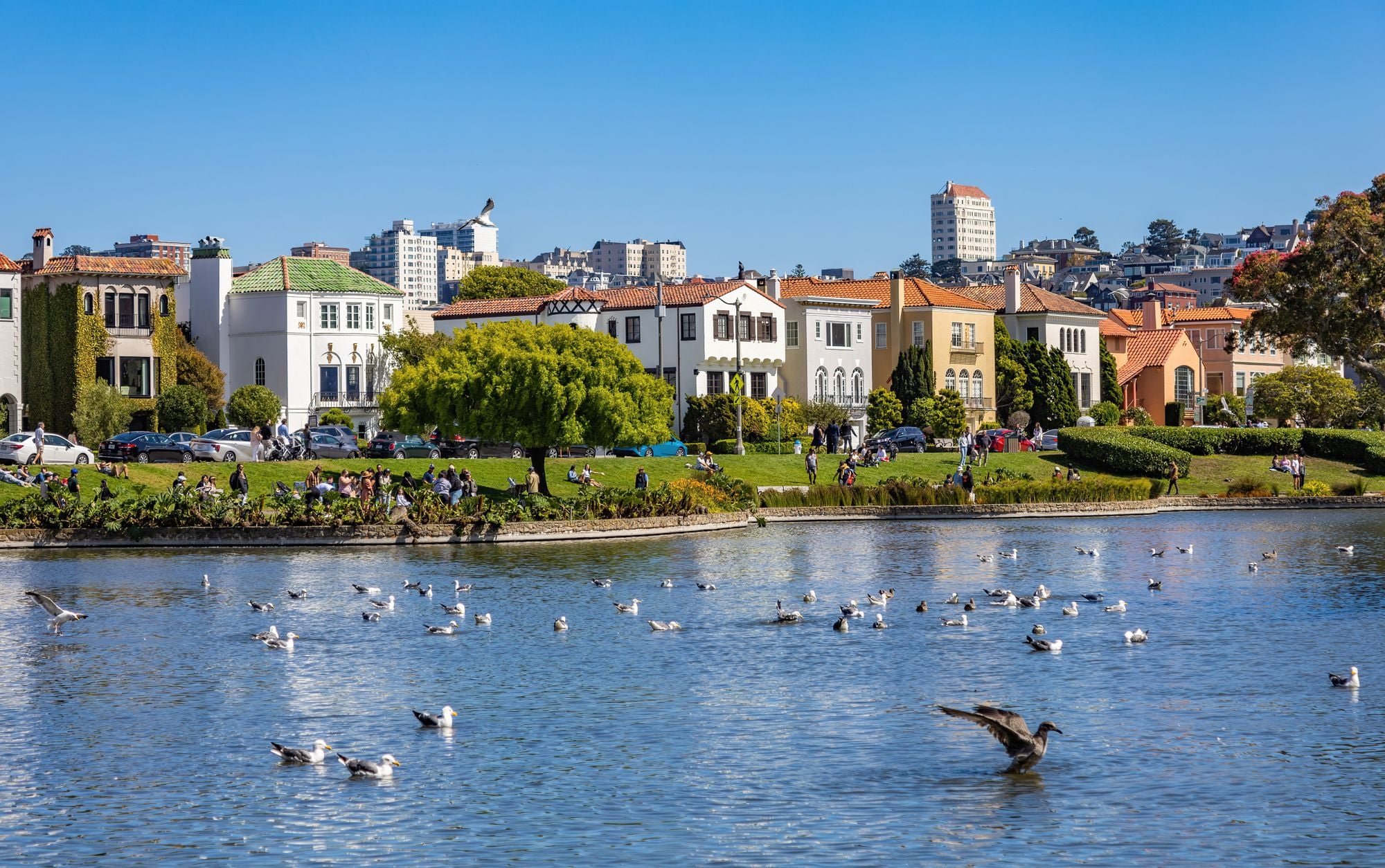 A park beside the water with birds and people under a clear blue sky