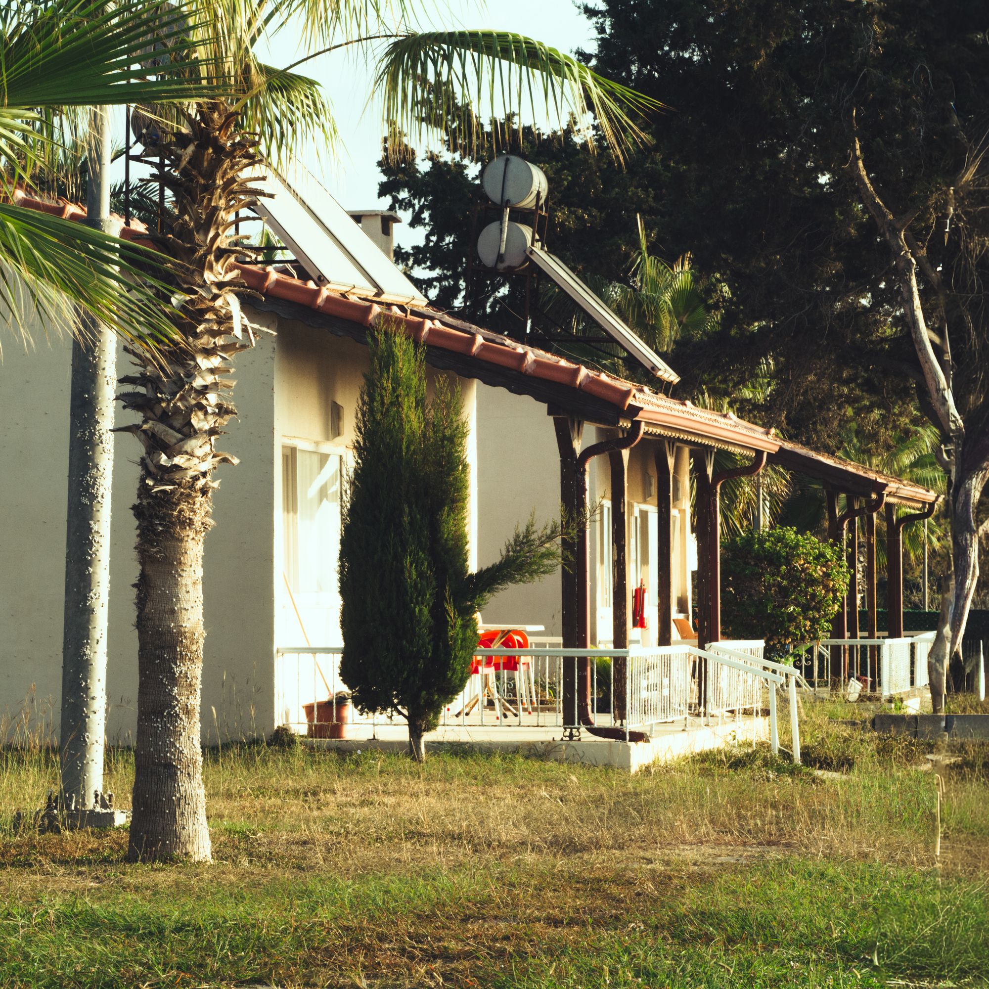 A bungalow surrounded by palm trees and greenery under a clear sunny sky