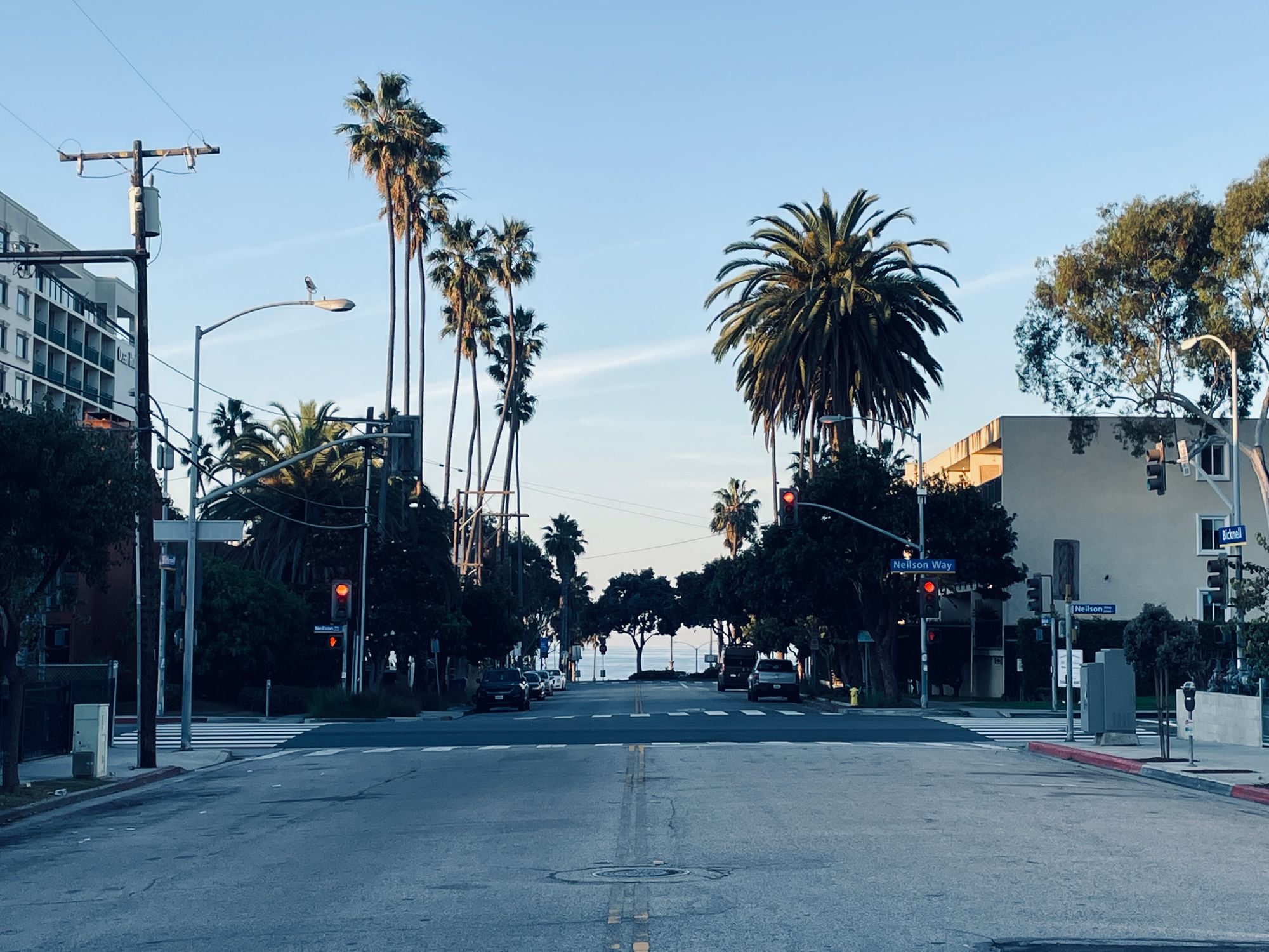 A palm lined street leading down toward the ocean