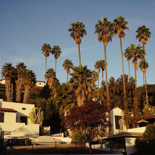 Trust Sale Checklist: 6 Steps Every California Trustee Should Take Before Listing
