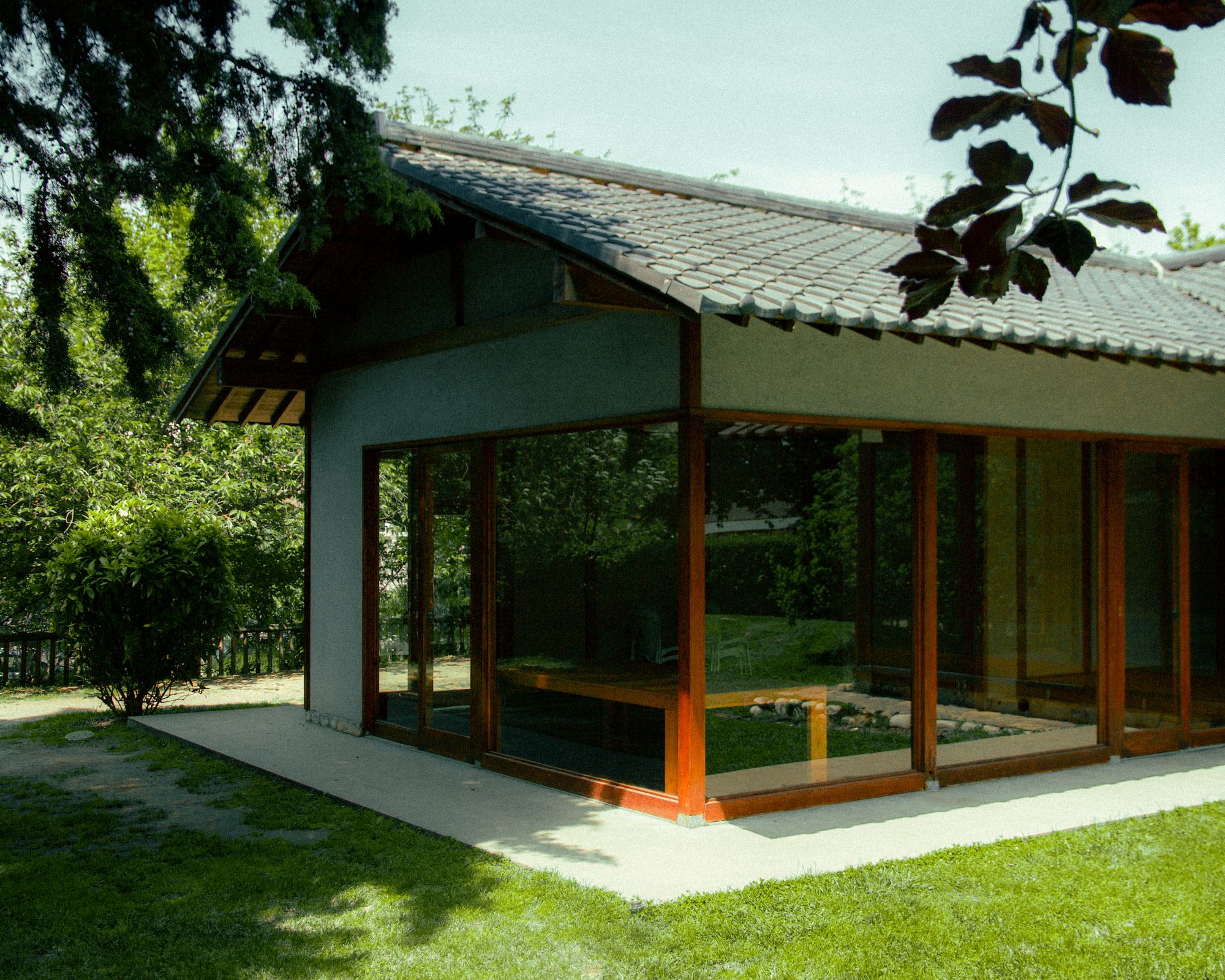 A contemporary single story home with large windows amid mature greenery