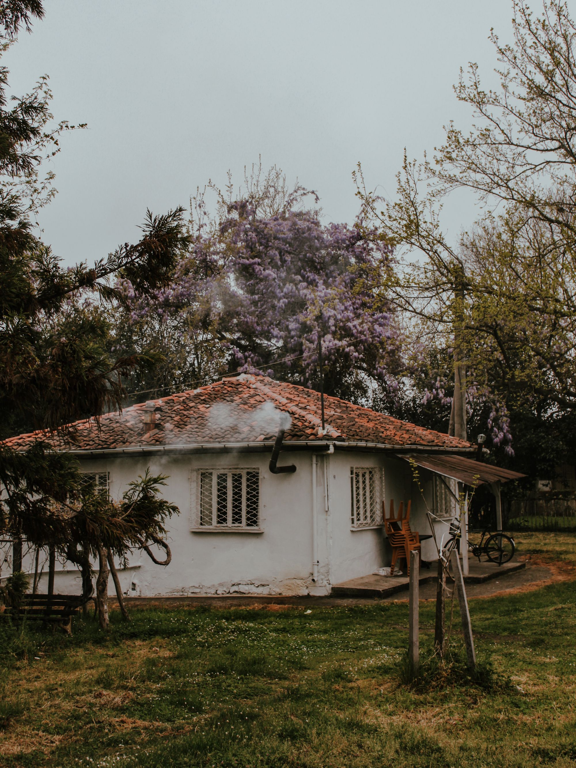 A single story home surrounded by mature trees and a quiet yard