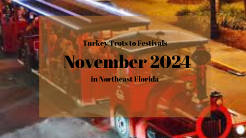 Turkey Trots to Festivals: Events During November 2024