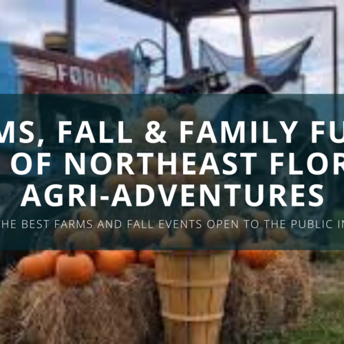Farms, Fall, & Family Fun: A Tour of Northeast Florida’s Agri-Adventures