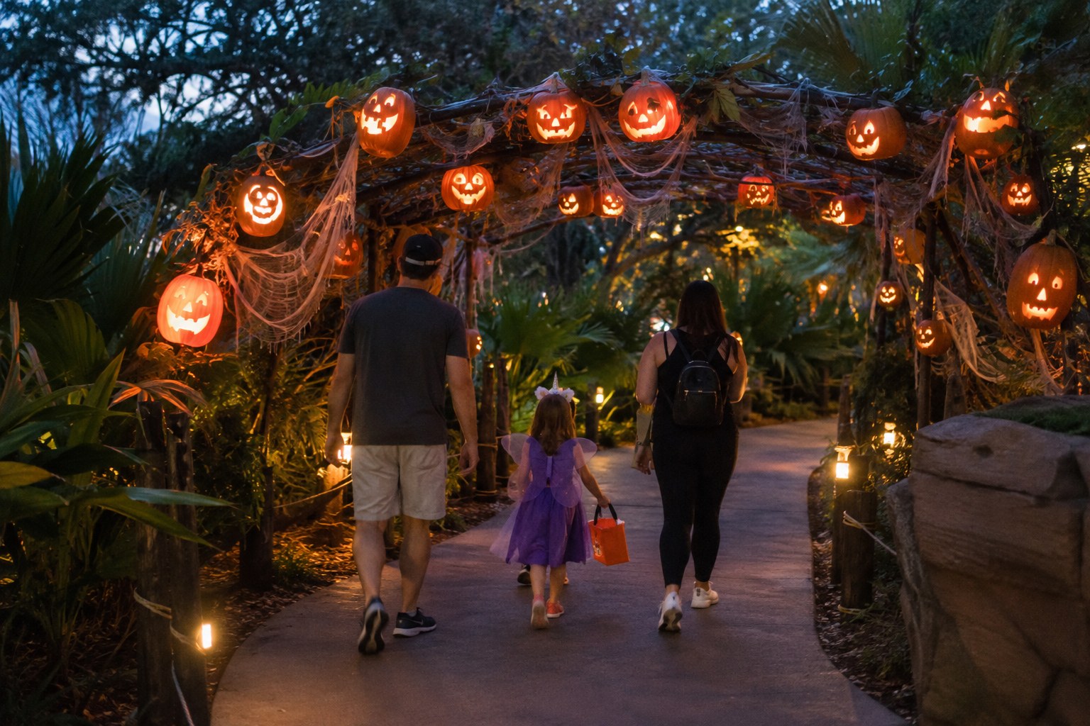 Illustration of a costumed child and parents on a pumpkin-lit zoo walkway