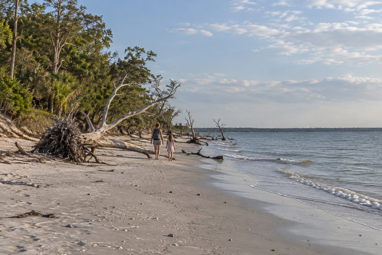 Illustration of an adult and child walking beside realistically proportioned fallen trees at Boneyard Beach