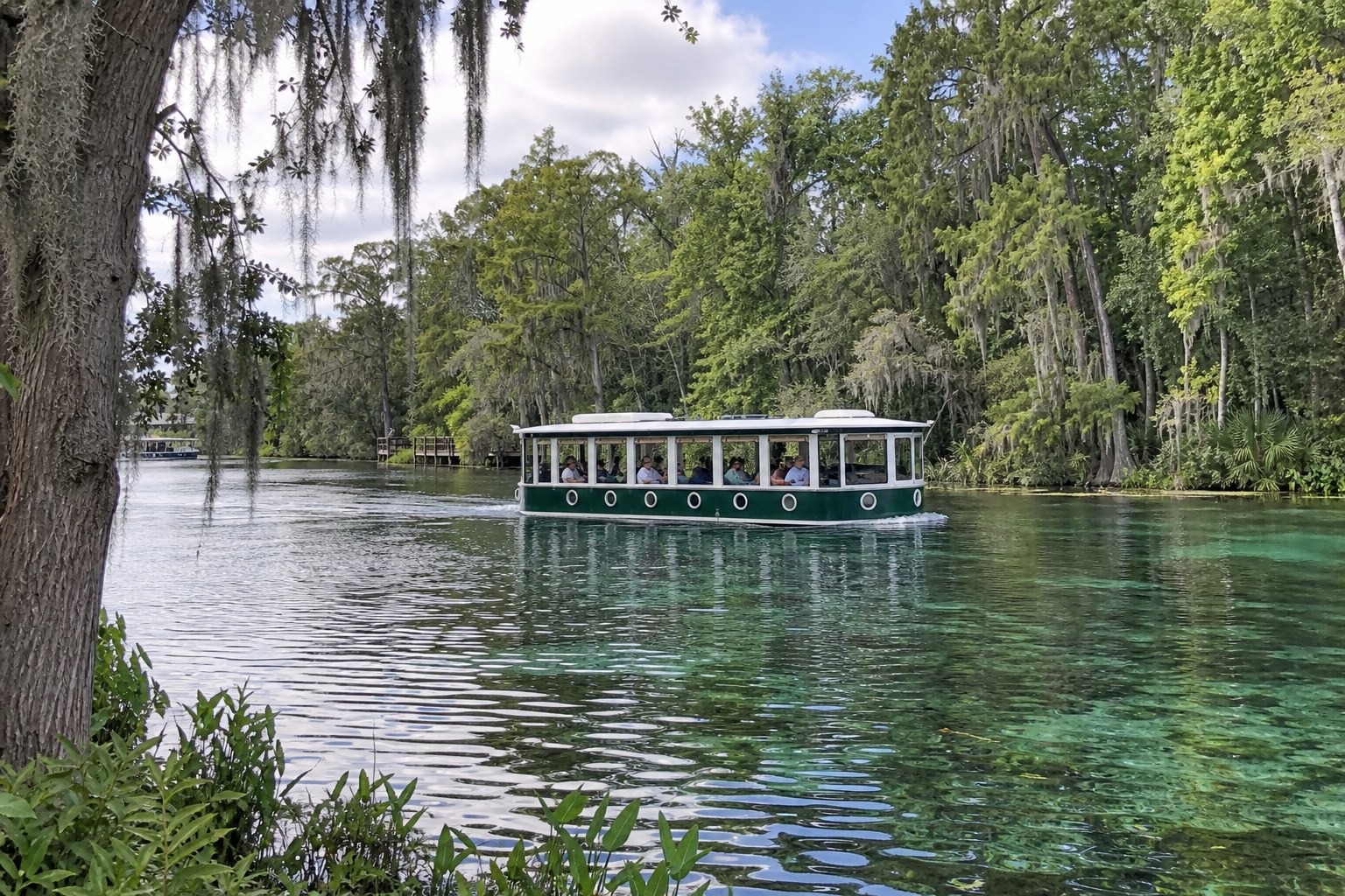 Illustration of a correctly proportioned green and white glass-bottom tour boat on Silver Springs