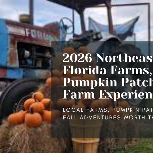 2026 Northeast Florida Fall Farms, Pumpkin Patches, and Farm Experiences