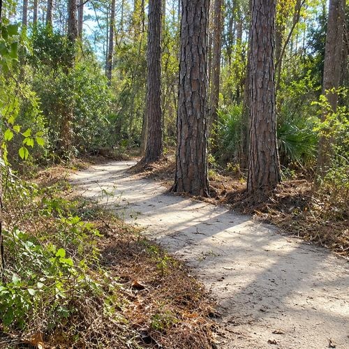 Why I Would Choose TrailMark Again