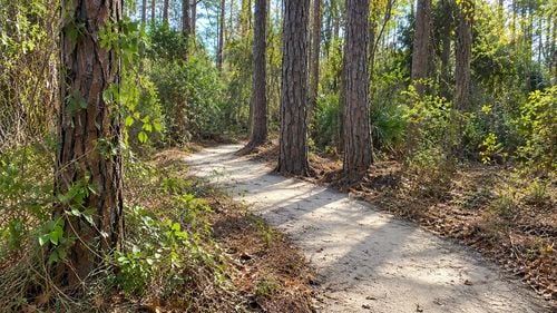 Why I Would Choose TrailMark Again