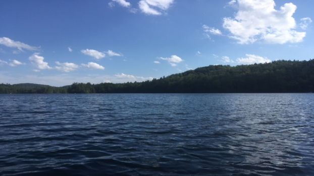 Horn Pond Properties