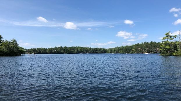 Pine River Pond Properties