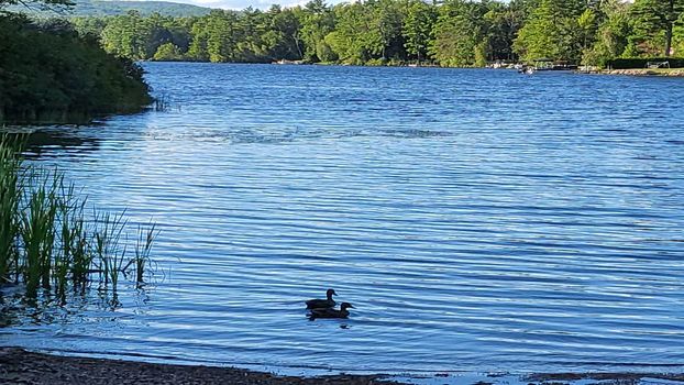 Crescent Lake Properties