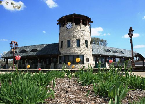 Tinley Park homes for sale