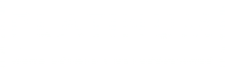 Logo-platinum-custom_white