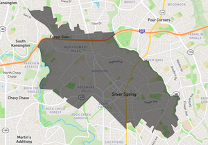 downtown silver spring condo market.png