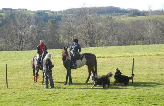 BETHEL HORSE BACK RIDING WITH BETHELWOODS