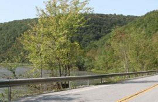 lumberland_photo1