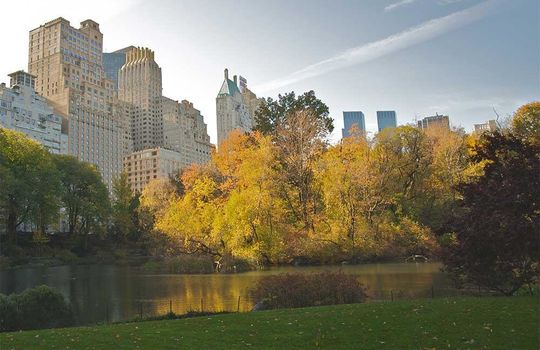 newyork