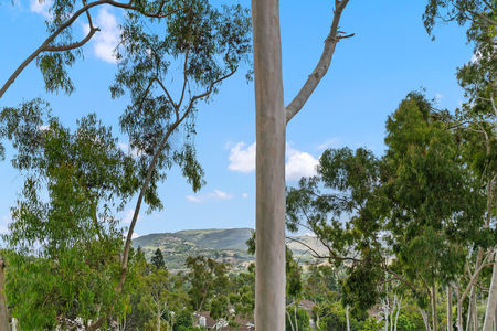 34_11228751_164245_164245-EI-134