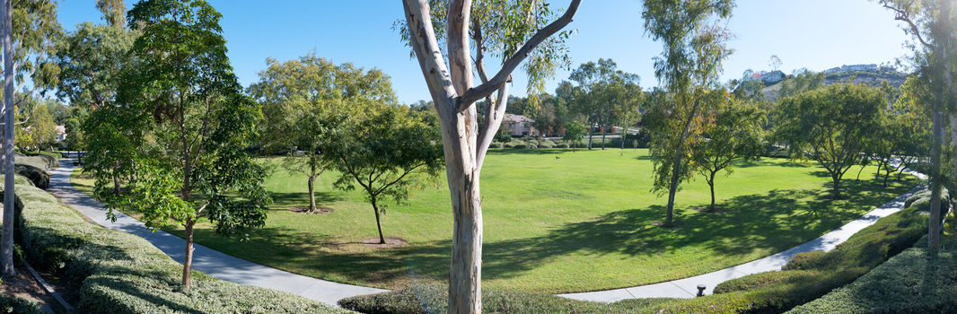DSC_4547-Pano-Edit