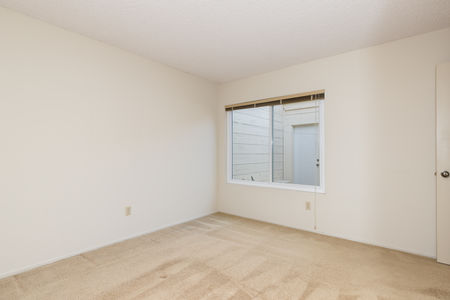 12 Southern Wood P DiRienzo-13