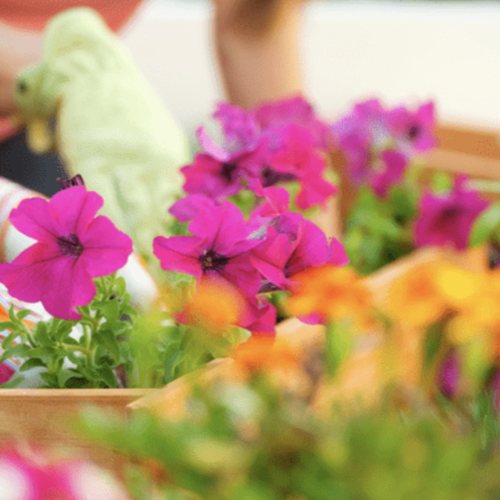 4 Things To Expect from the Spring Housing Marke