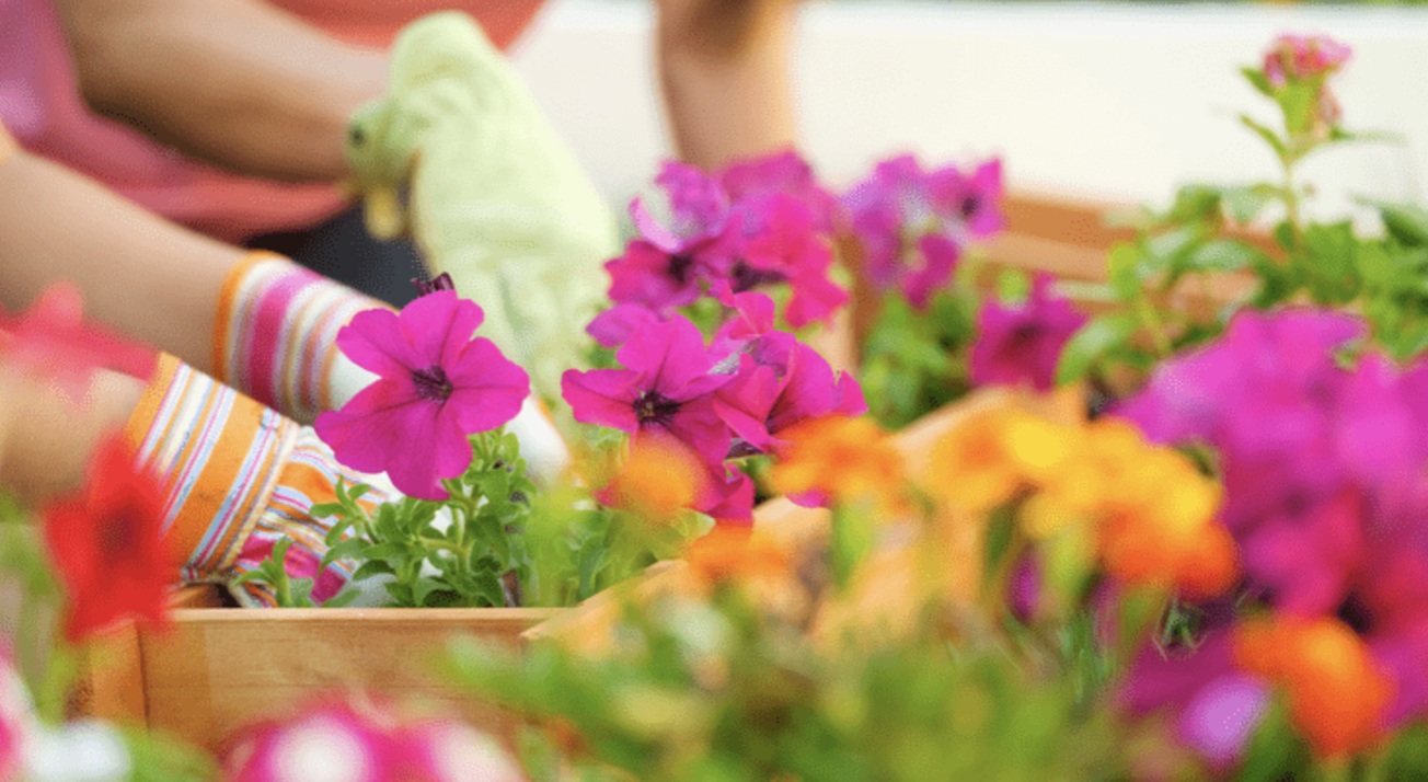 4 Things To Expect from the Spring Housing Marke