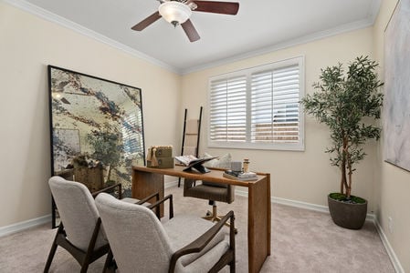 28_12016432_186539_186539-EI-119