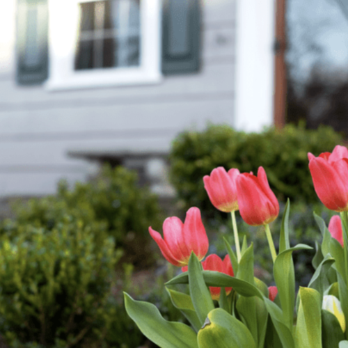 Spring Sellers Have an Edge. Here’s Why.