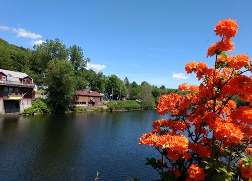 bettencourt-realty-landscape-10