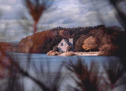 bettencourt-realty-landscape-11