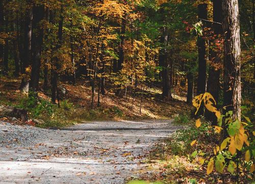 bettencourt-realty-landscape-12