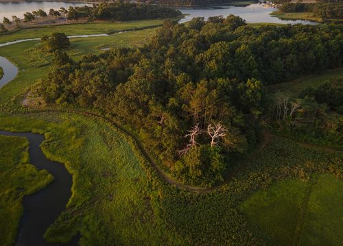 bettencourt-realty-landscape-7