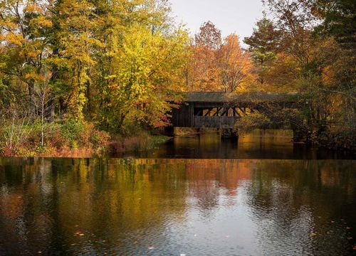 bettencourt-realty-landscape-7