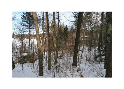 1078440_g01_56_640x480