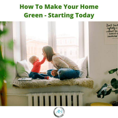 How to Make Your Home Green
